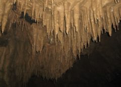 Kostanjevica cave