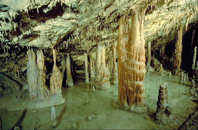 Skocjan caves