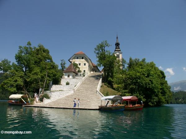Bled