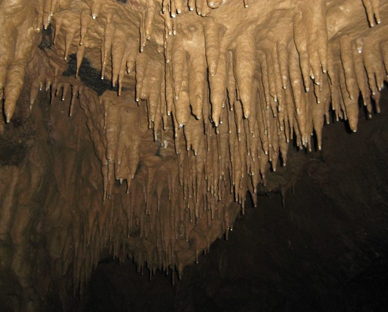 Kostanjevica cave